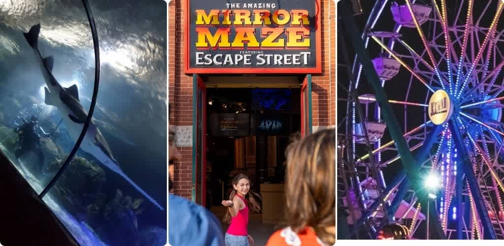 A collage of three images showing a roller coaster, a mirror maze entrance with people, and a brightly lit ferris wheel at night.