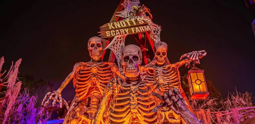 A spooky display of three large skeletons illuminated with orange and purple lights at Knott's Scary Farm during the night.