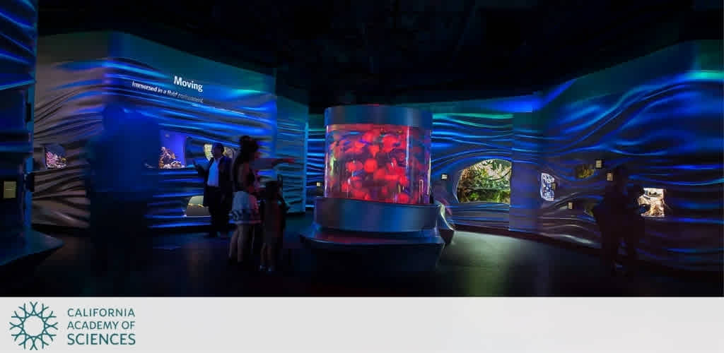Indoor exhibit with colorful lighting and an interactive tank displaying red marine life at the California Academy of Sciences