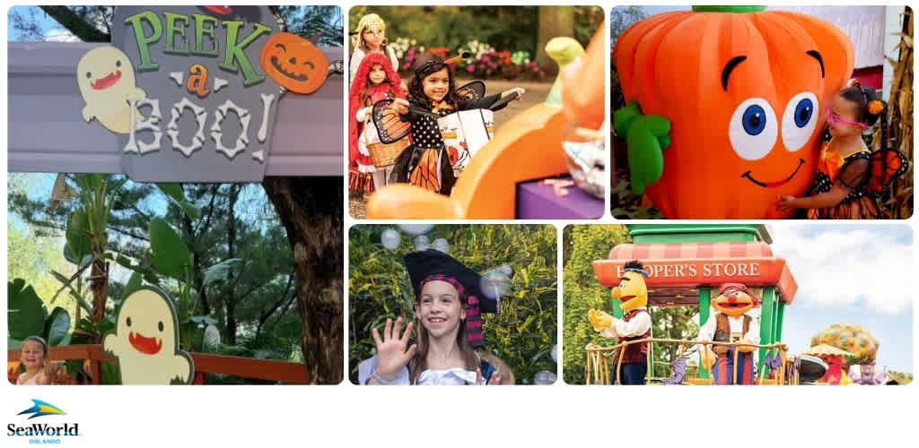 Group of children enjoying a Halloween-themed event with decorated pumpkins, cheerful costumes, and festive decorations.