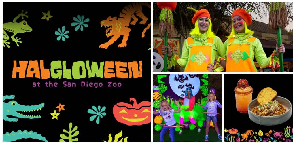 A colorful collage of Halloween-themed images including a zoo sign, costumed performers, children in costumes, a festive display, and themed snacks and drinks.