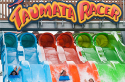 Colorful water slide with riders on mats named "Taumata Racer."