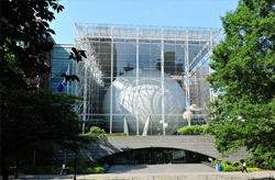 Image of a spacious museum gallery with a blue whale model suspended above. The room is dimly lit, with natural light spilling from a glass-paneled ceiling. Exhibits and informational displays line the walls and lower floor. An interactive screen with ocean-related content is visible in the foreground.