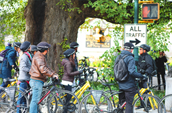 A group of people on a bike tour pauses in a lush park, with a guide pointing out directions. They're surrounded by vibrant green trees and lined up with assorted bicycles, indicating a leisurely outdoor activity.