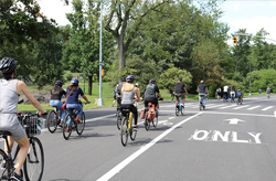 Photo of people riding bicycles on a bike-only lane in a park setting. The road is marked with 'BIKE ONLY'. Lush trees flank the sides, and there's a traffic light ahead, suggesting an intersection or park entrance nearby.