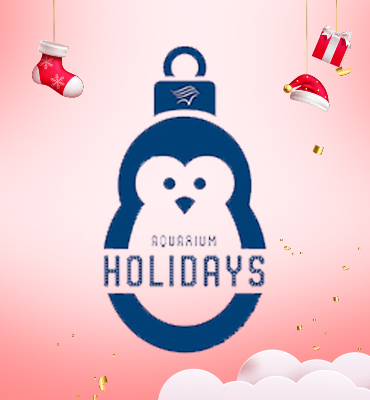 Holiday graphic with a penguin, Santa hat, stocking, and "Aquarium Holidays" text.