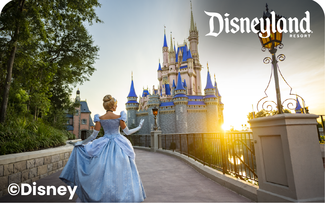 Disneyland Resort