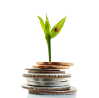Financial Wellness