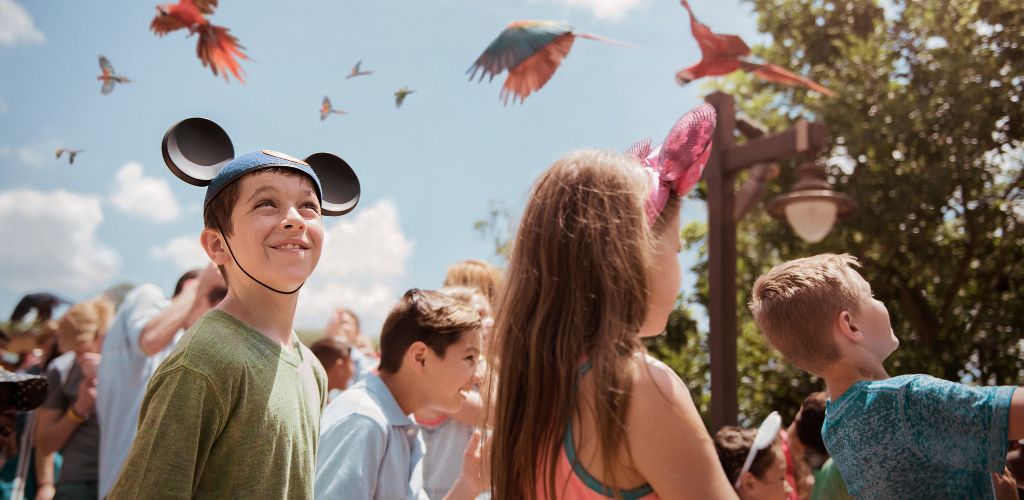 Children watching colorful birds fly in the sky during an outdoor event on a sunny day