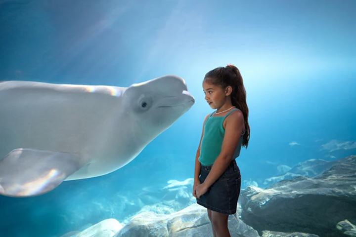 SeaWorld San Diego photo