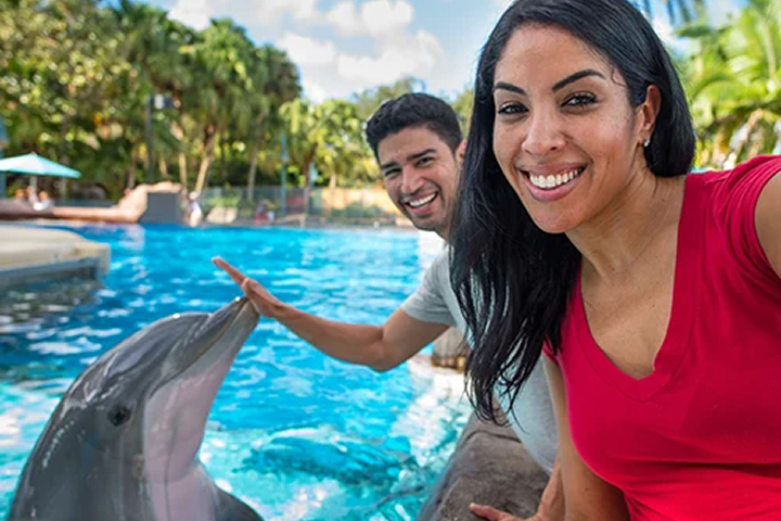 SeaWorld Orlando photo