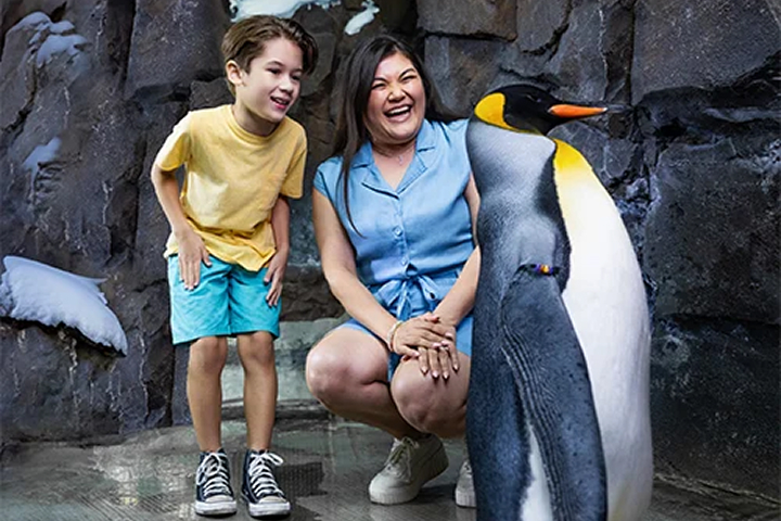 SeaWorld Orlando photo