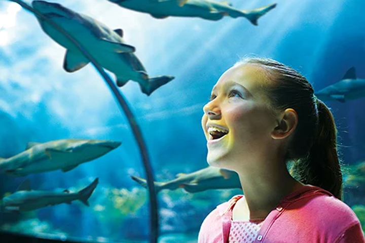 SeaWorld Orlando photo