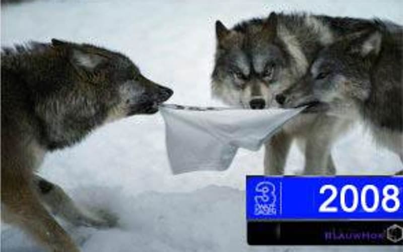 Doller kunnen ze het niet maken... 