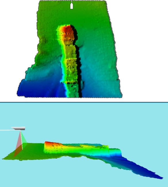 Survey function (survey license sold separately)