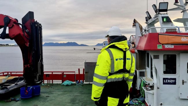 Dagrate felt, helg/helligdag