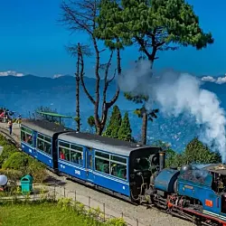 Darjeeling