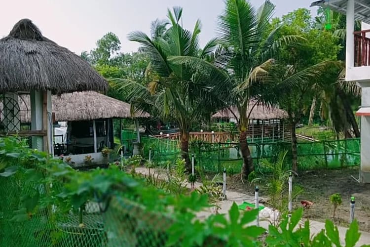 Sundarban Tourism