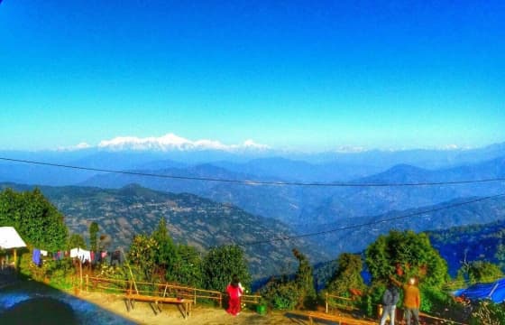 3N 4D Rongo and Rishop Dooars & North Bengal Hills Tour Plan