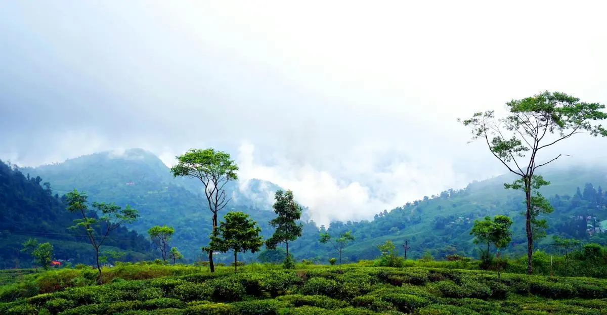 5N 6D Sittong  Takdah Rishikhola Offbeat Tour Plan - Day 4