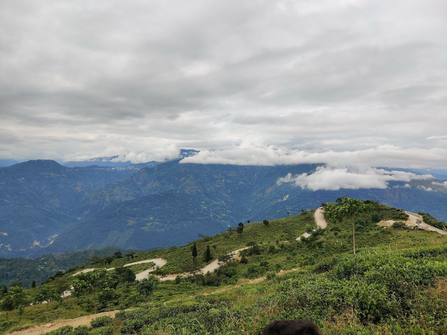 4N 5D Darjeeling Lamahatta Tinchuley Offbeat Tour Plan  - Day 5