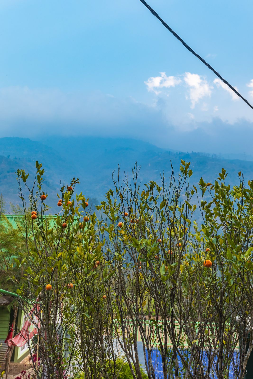 4N 5D  Bijanbari Darjeeling Sittong Offbeat Tour Plan - Day 3