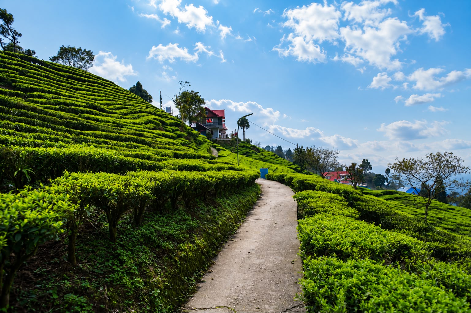 5N 6D Sittong Darjeeling Tabakoshi Offbeat Tour Plan - Day 2