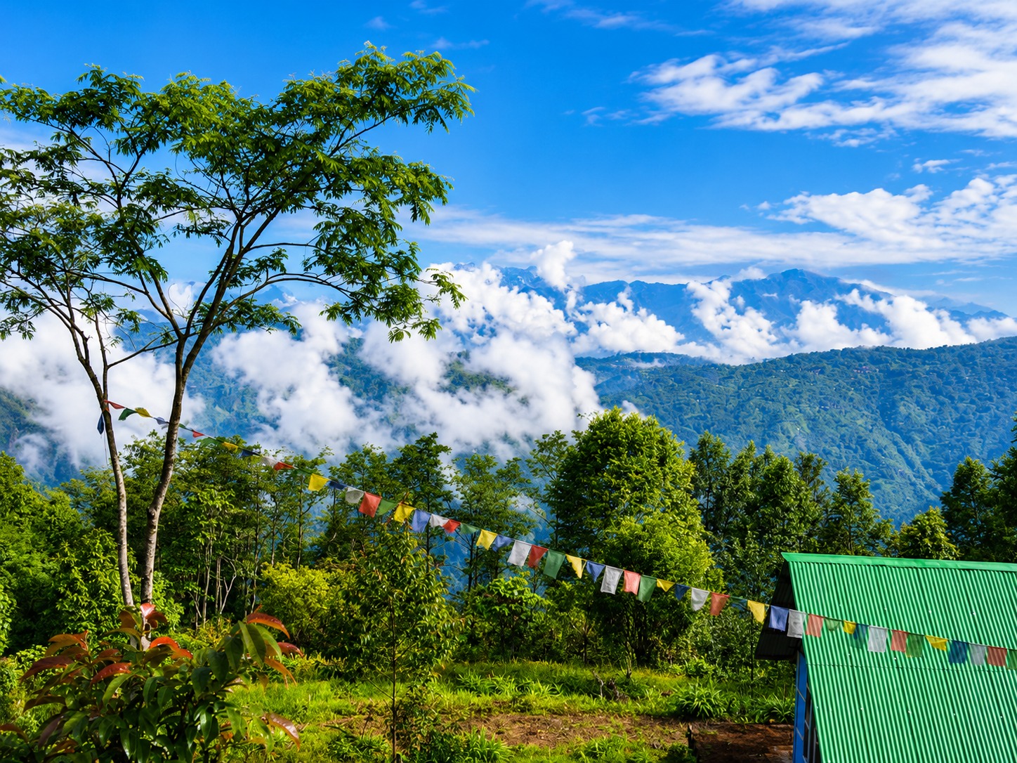 5N 6D Charkhole Rishop Kolakham Offbeat Tour Plan