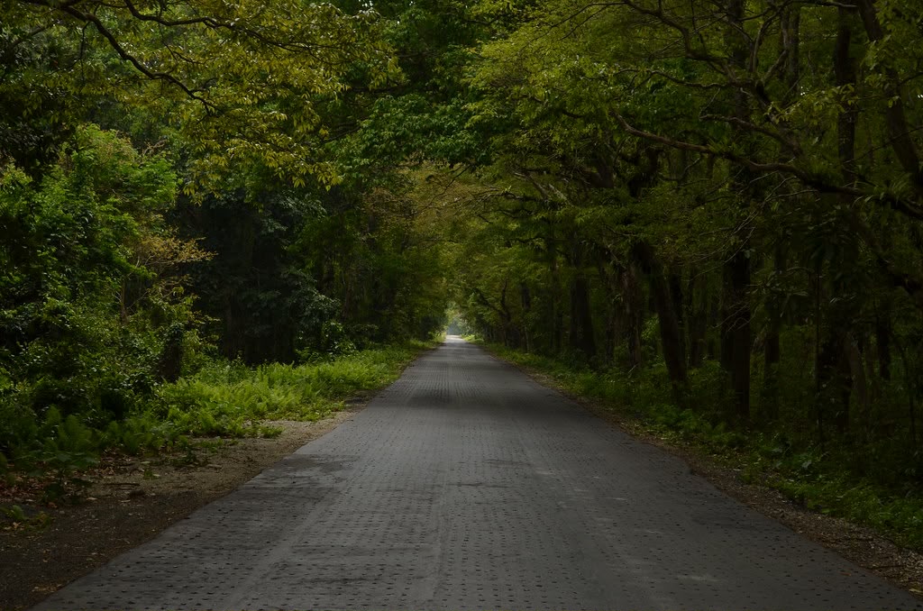 4N 5D Murti Jhalong Chilapata Dooars Offbeat Forest Tour Plan - Day 5