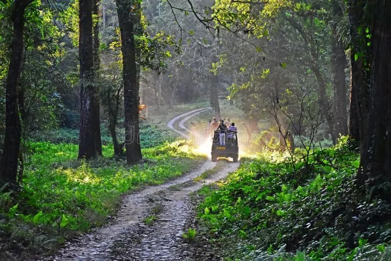 2N 3D Jaldapara Offbeat Weekend Dooars Tour Escape - Day 1