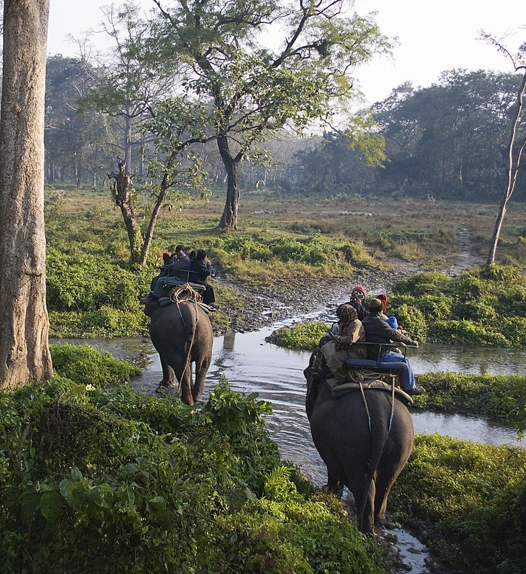 2N 3D Jaldapara Offbeat Weekend Dooars Tour Escape - Day 2