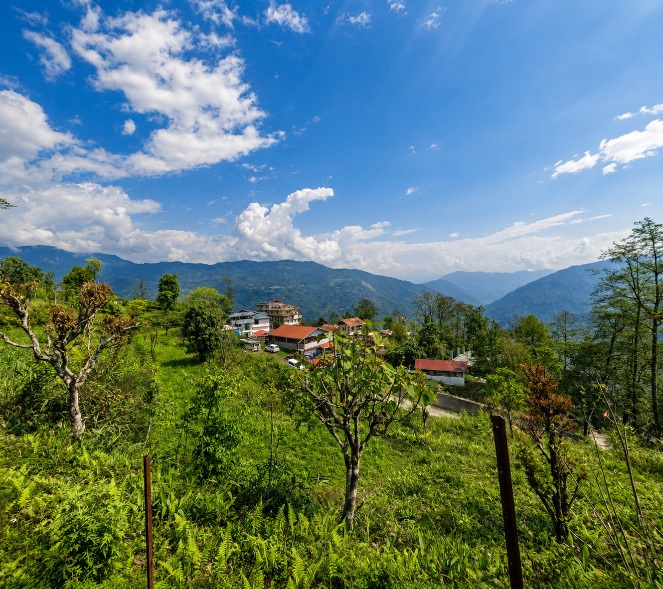 4N 5D Hee Bermoik and Yuksom with Pelling West Sikkim Tour Plan - Day 1