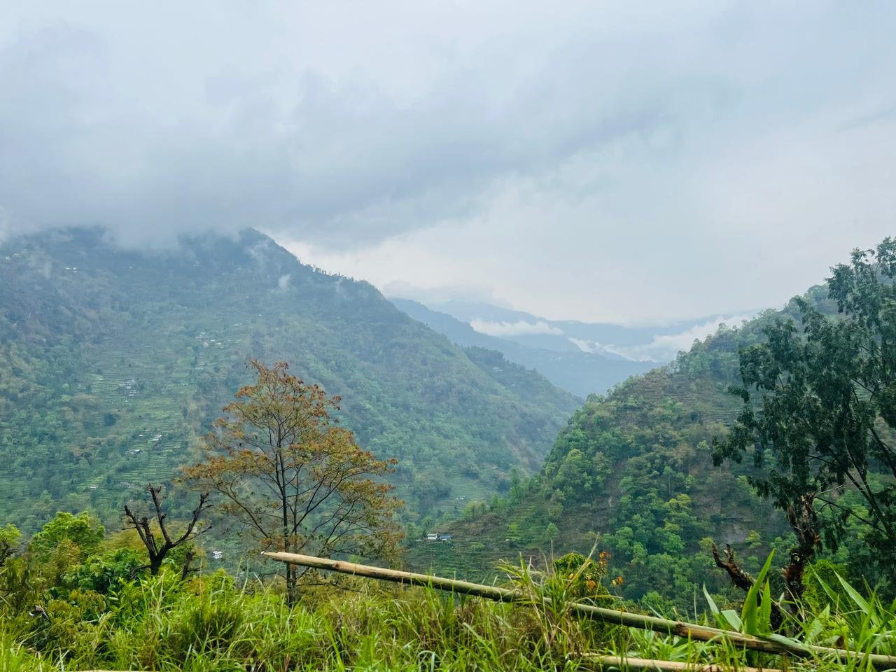 4N 5D Kaluk and Darap with Pelling West Sikkim Tour Plan - Day 5