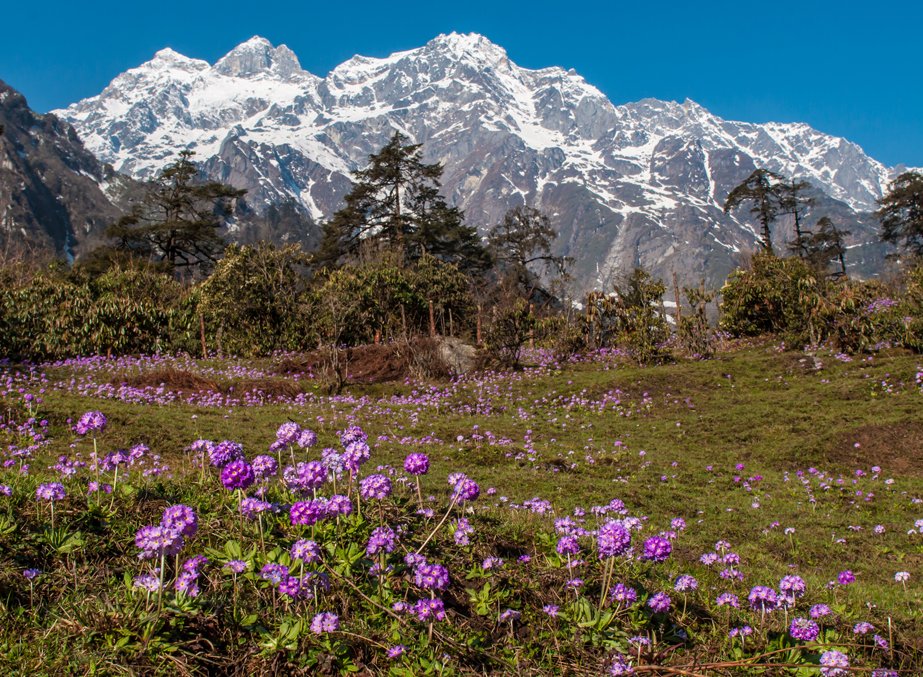 4N 5D Gangtok and Lachen with Lachung North Sikkim Tour Plan - Day 3