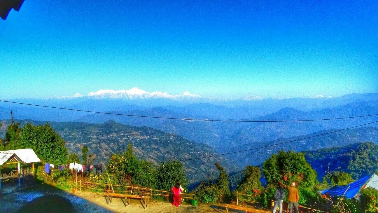3N 4D Rongo and Rishop Dooars & North Bengal Hills Tour Plan