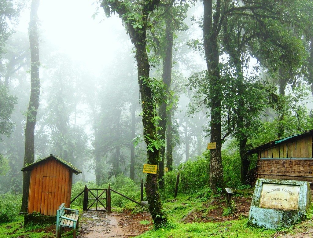 3N 4D Todey Tangta and Lolegaon Dooars & North Bengal Hill Tour Plan