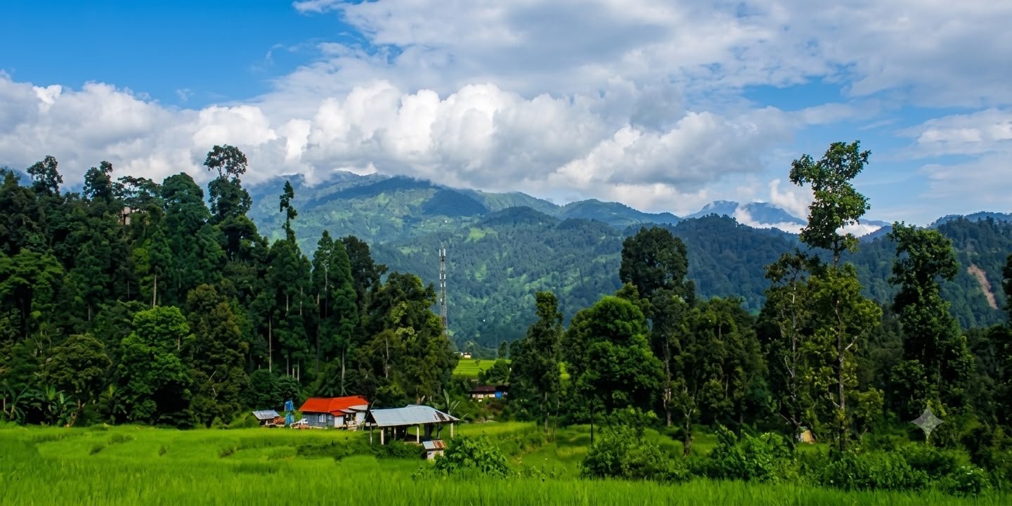 3N 4D Chilapata and Paren Dooars Offbeat Tour Plan - Day 4