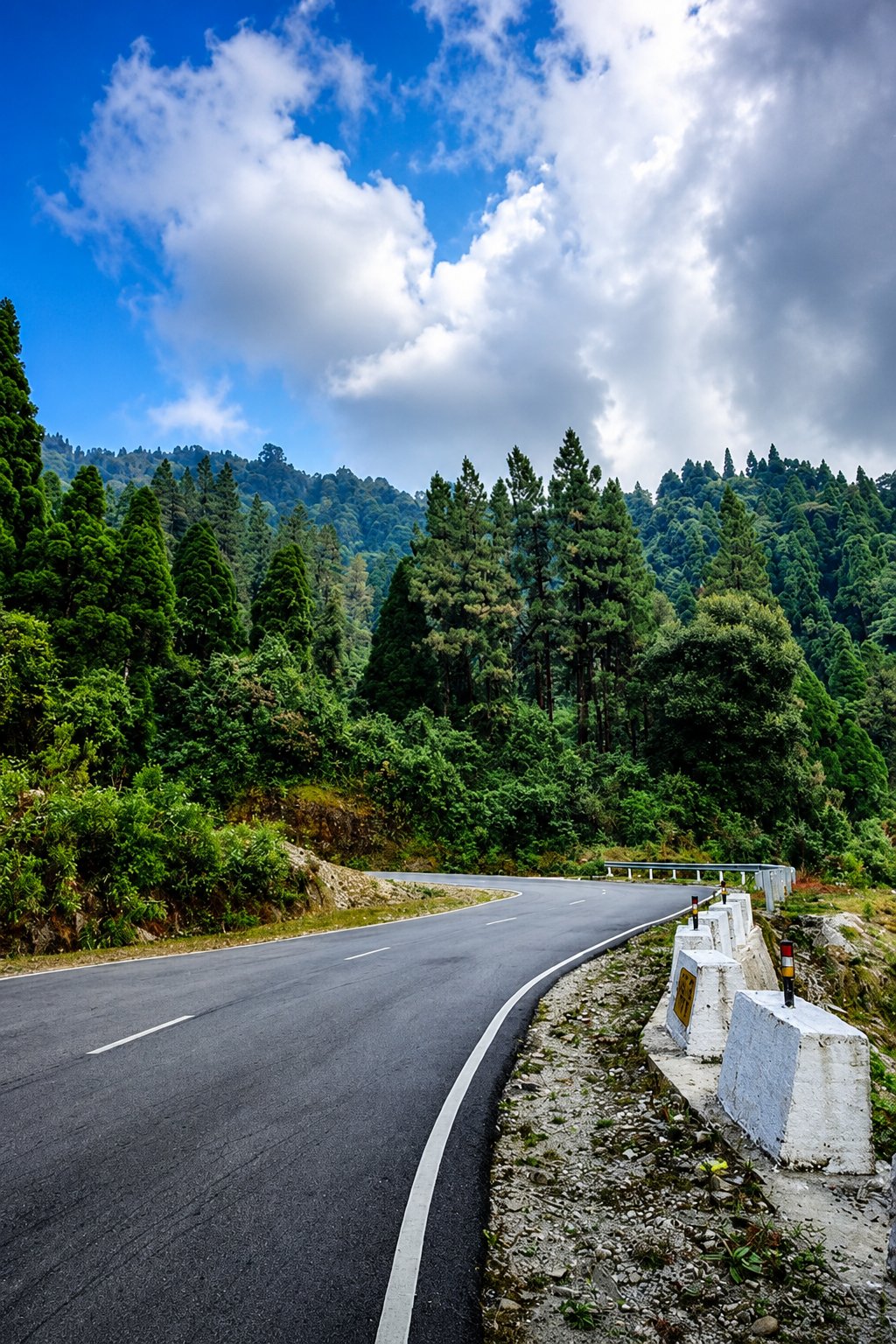 3N 4D Jhalong and Lava Tour Plan - Day 4