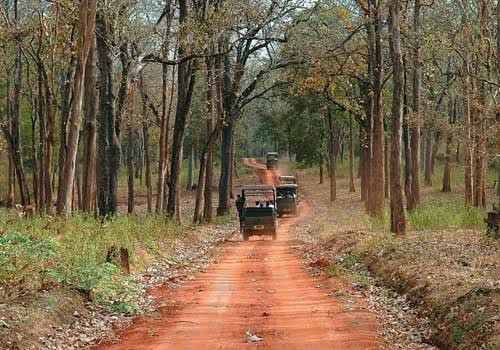 2N 3D Nagarahole Wildlife Weekend Getaway - Day 2