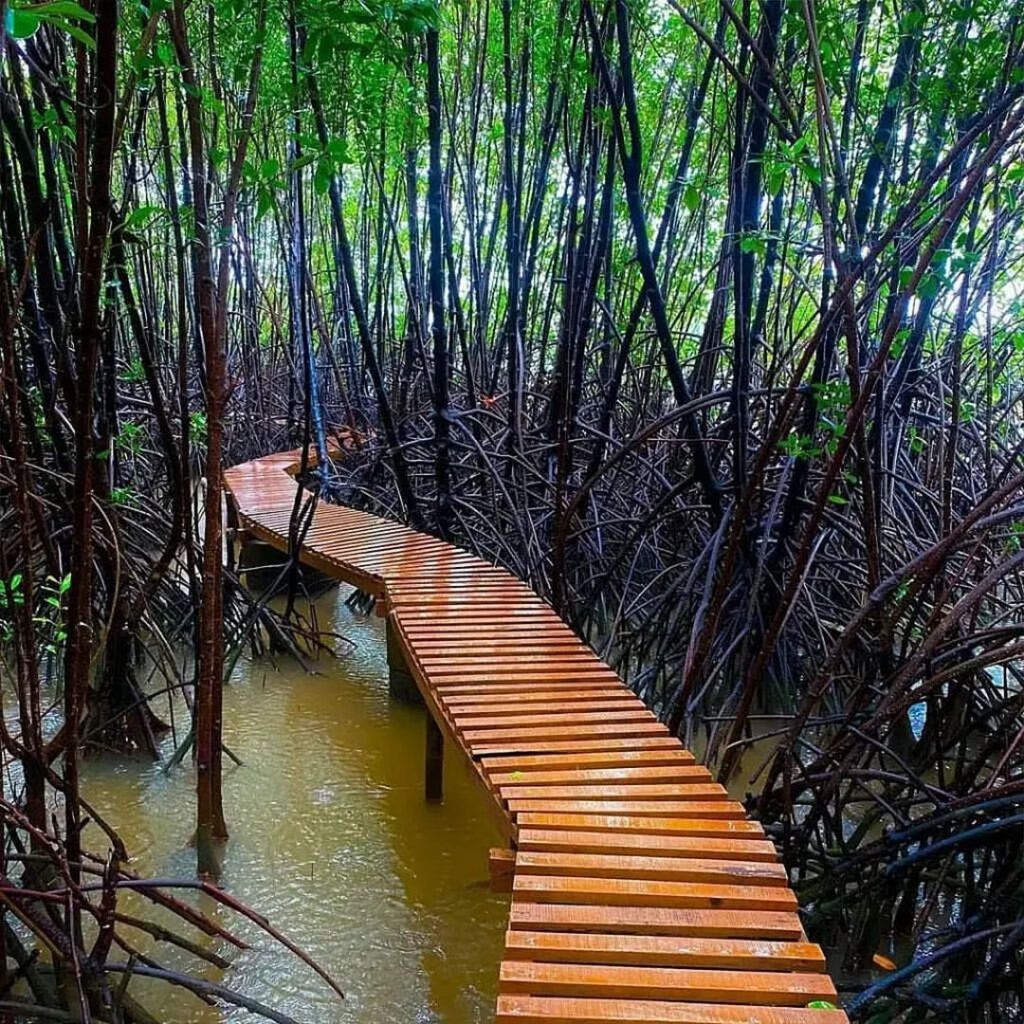 2N 3D Gokarna and Honnavar Tour Plan - Day 3