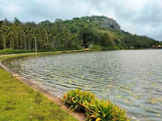 2N 3D Somwarpet and Nagarahole Wildlife Tour Plan - Day 1