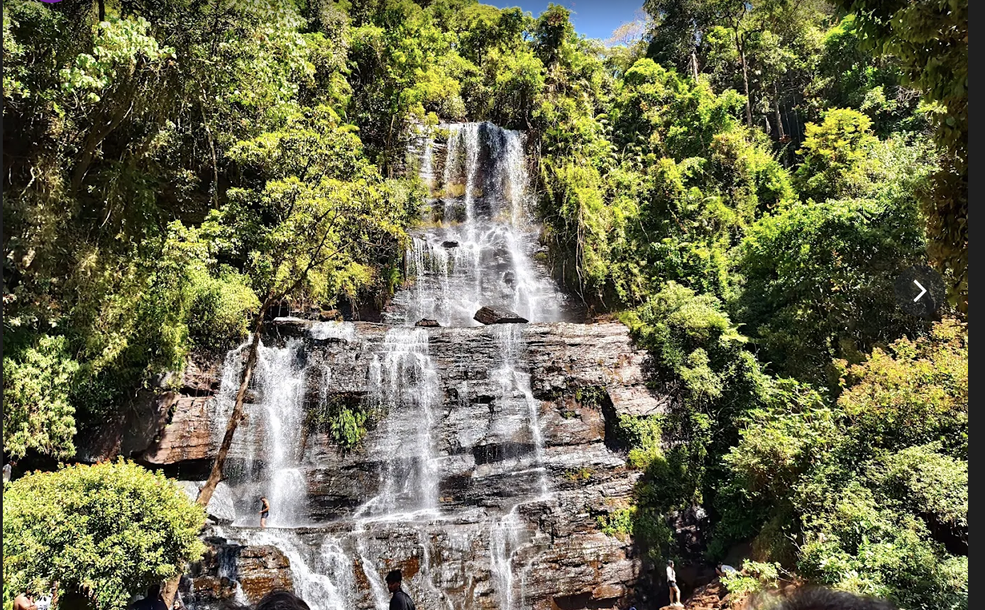2N 3D Chikkamagaluru and Sakleshpur Tour Plan