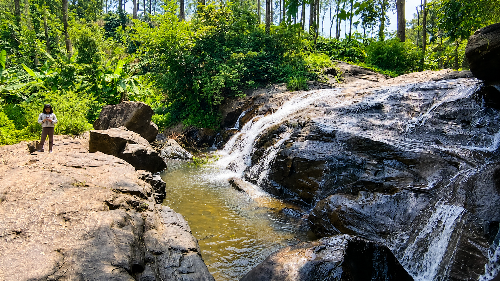 2N 3D Chikkamagaluru and Sakleshpur Tour Plan - Day 3