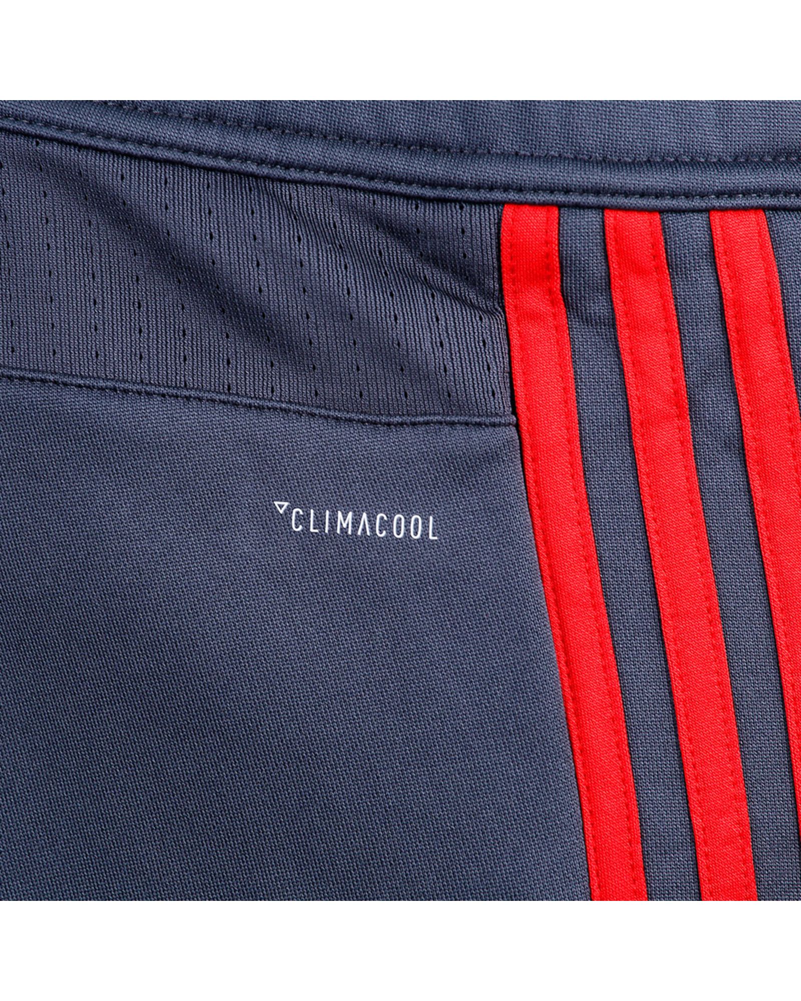 Pantalón de Training Bayern de Munich 2017/2018 Gris - Fútbol Factory