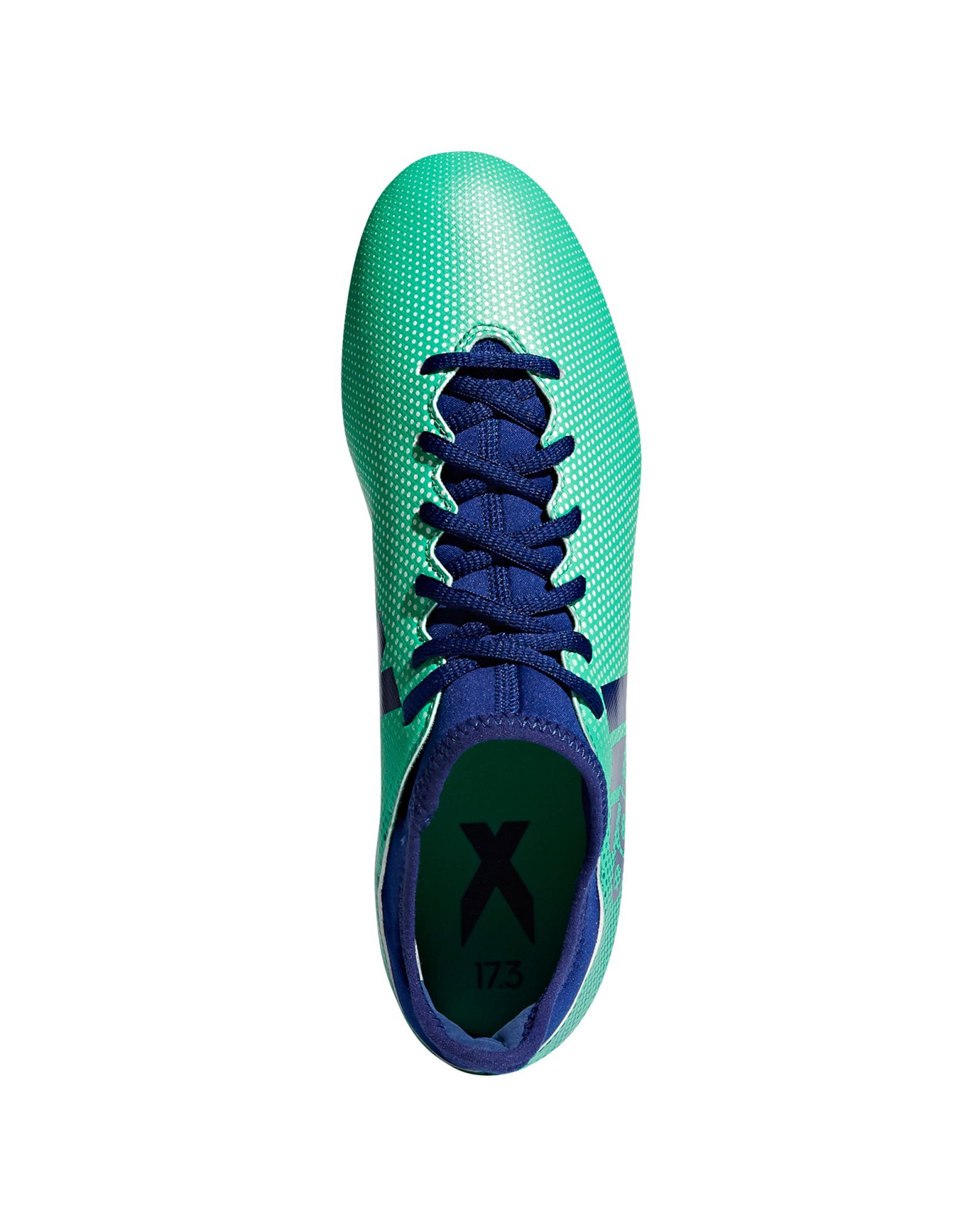 Botas de Fútbol X 17.3 FG Verde - Fútbol Factory