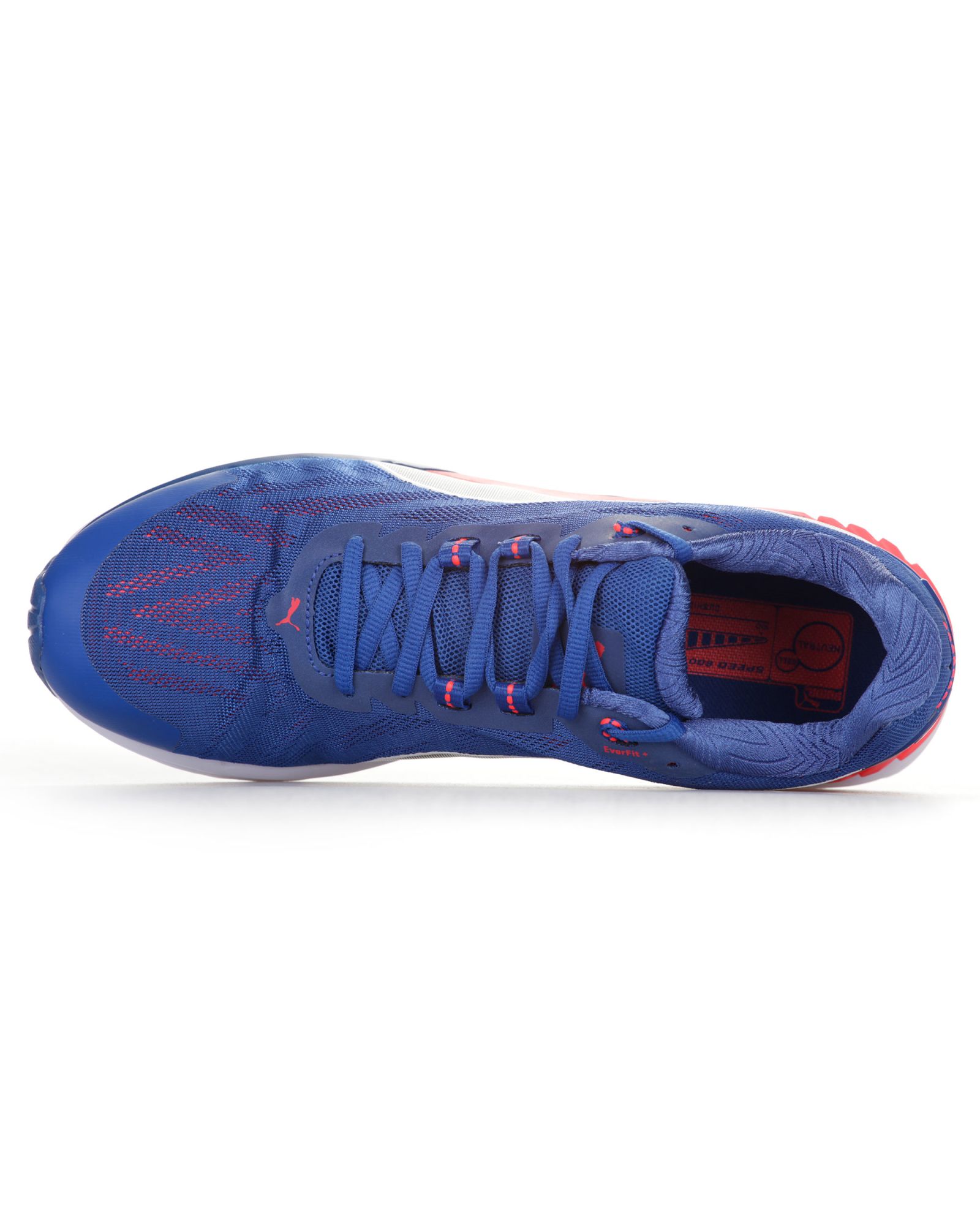 Zapatillas de Running Speed 600 Ignite V2 Azul - Fútbol Factory