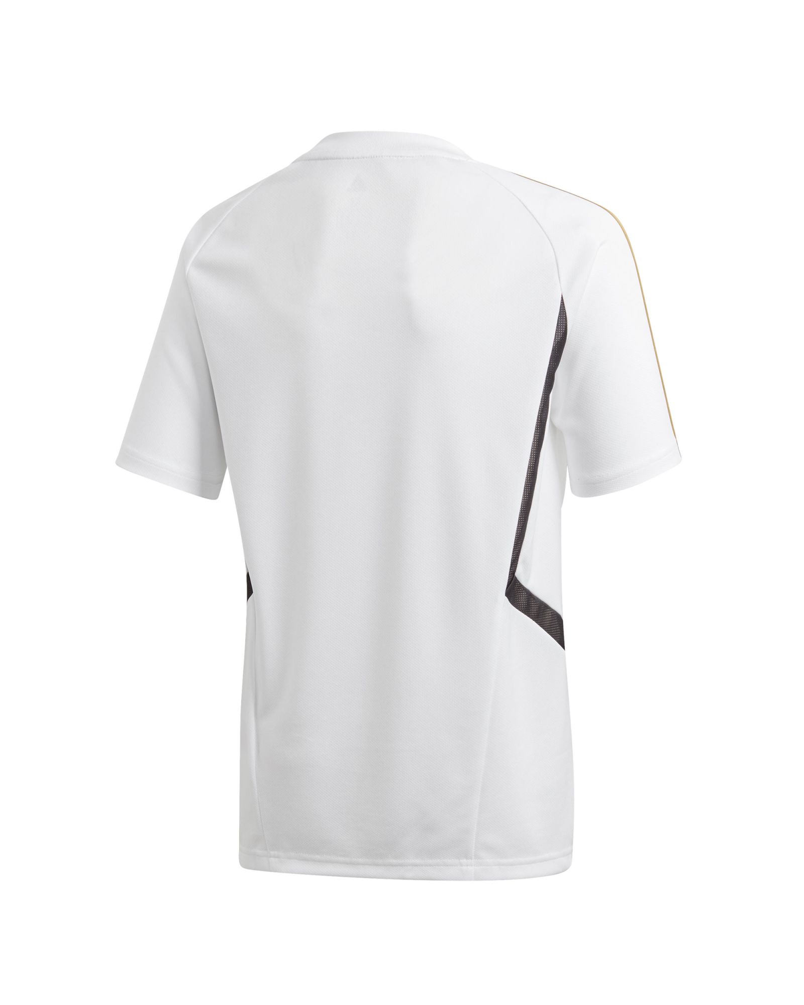 Camiseta de Training Real Madrid 2019/2020 Junior Blanco - Fútbol Factory