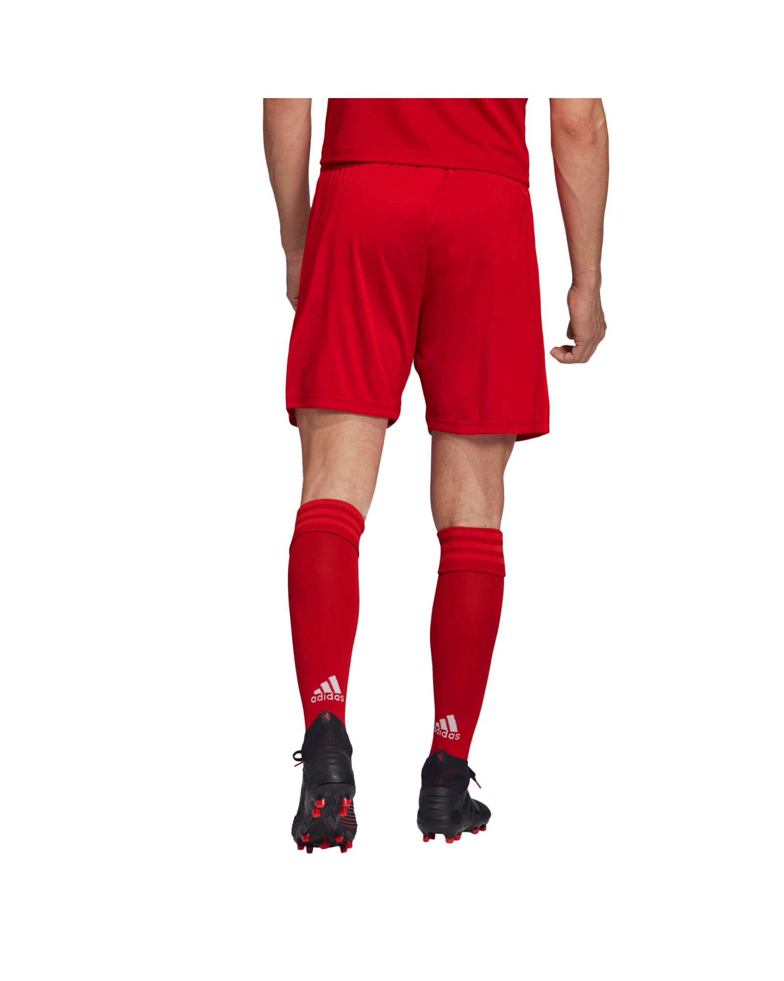 Pantalón 1ª Bayern Munich 2019/2020 Rojo - Fútbol Factory