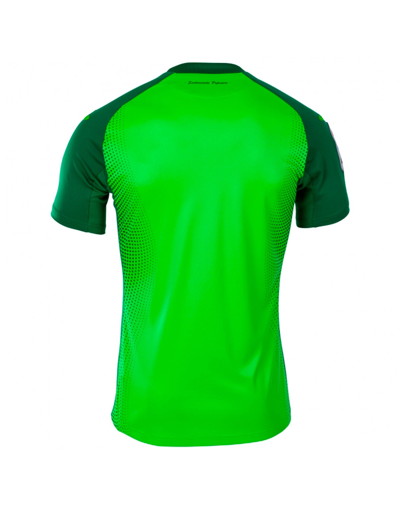 Camiseta 2ª CD Leganés 2019/2020 Verde - Fútbol Factory