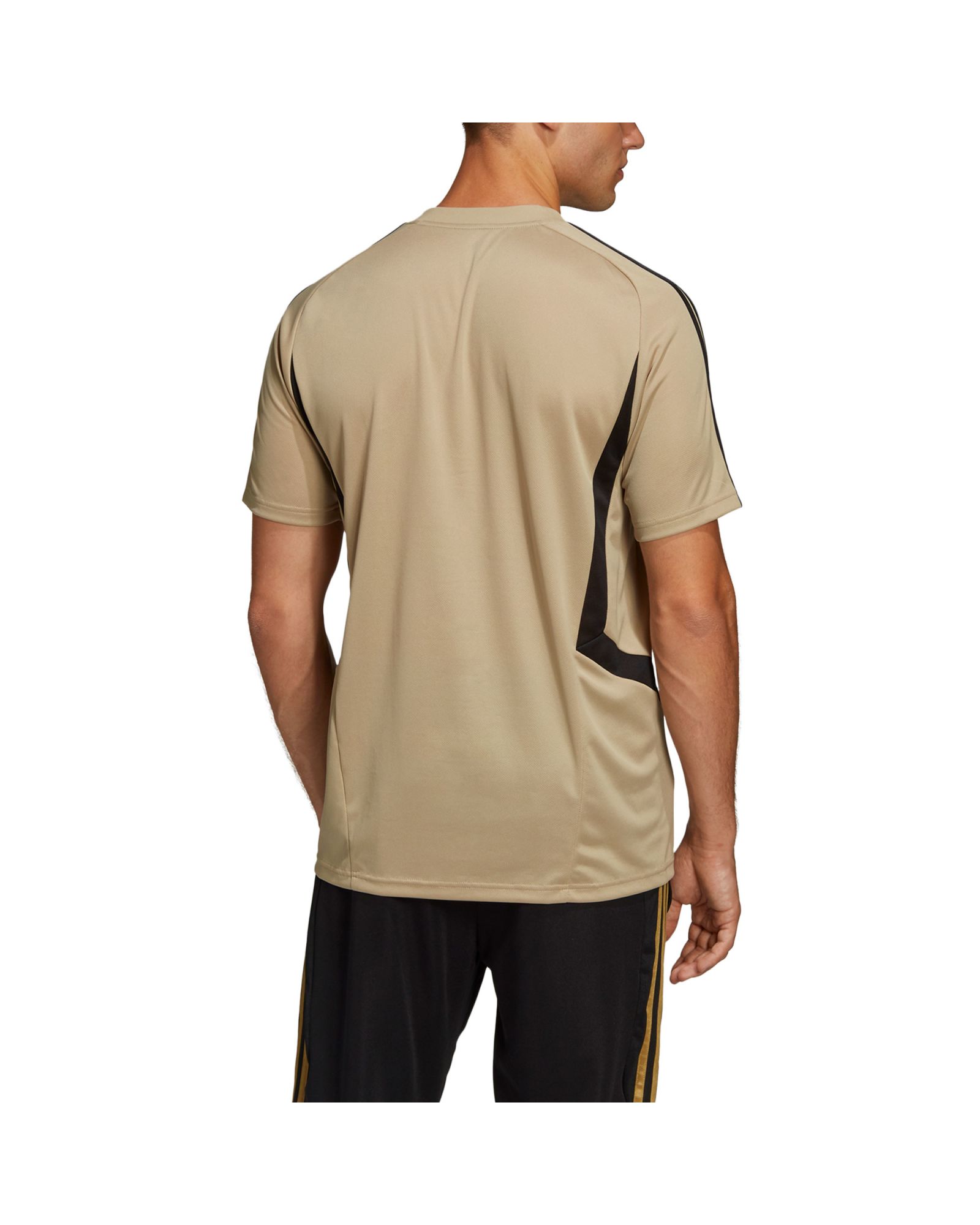 Camiseta de Training Real Madrid 2019/2020 Oro - Fútbol Factory